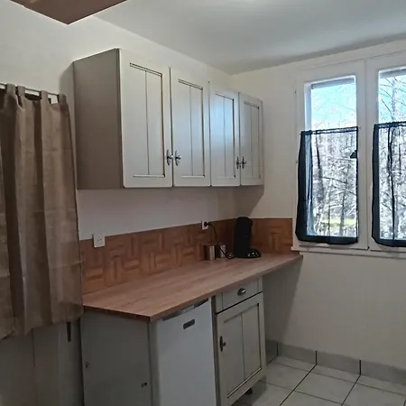Appartement Le Charme De L Ancien Avec Deux Aurillac
